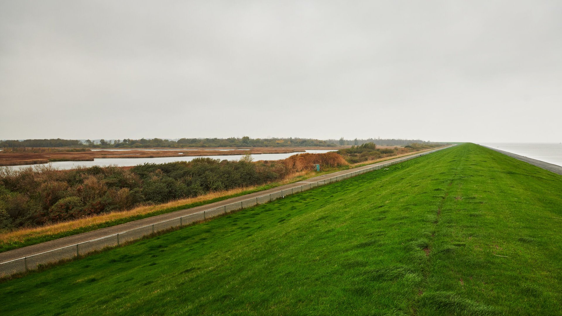 Dijkversterking Lauwersmeerdijk Groningen infra biodiversiteit_5